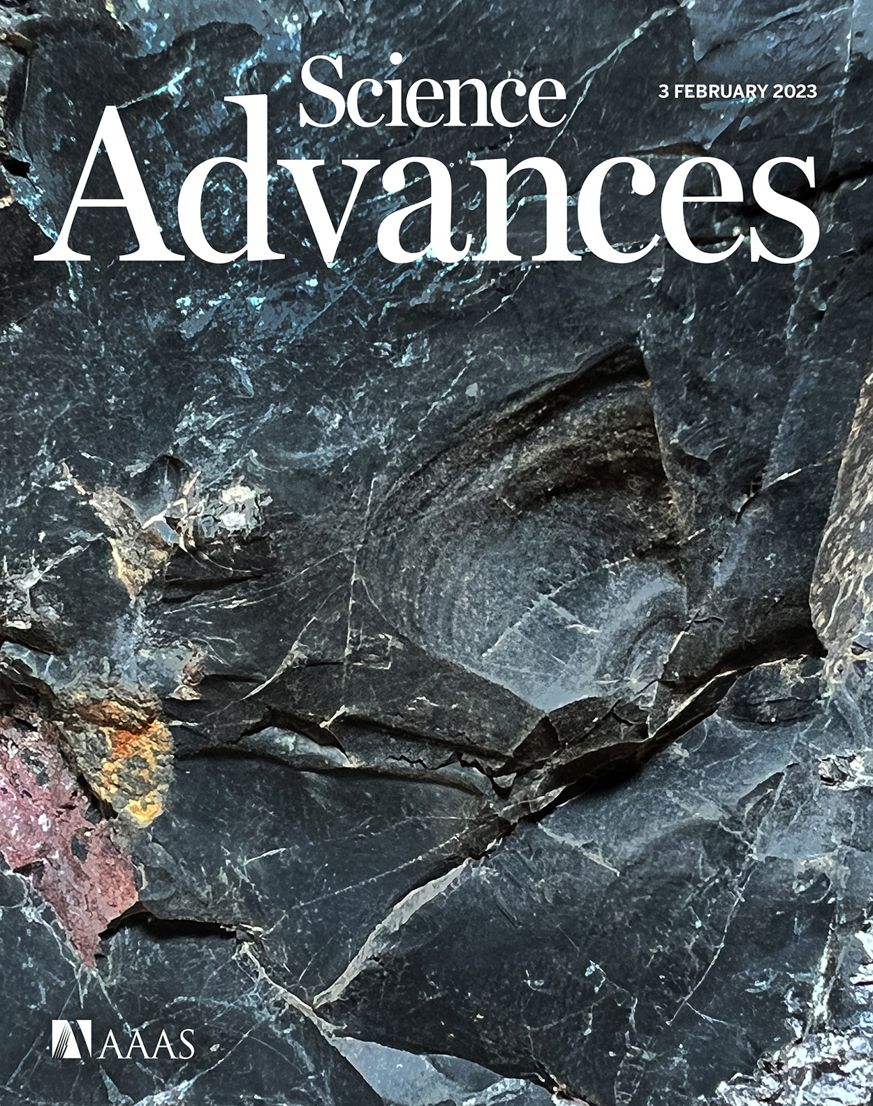 Cover of Science Advances, featuring study using the protocol.