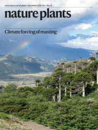 Cover of Nature Plants, featuring study using the protocol.