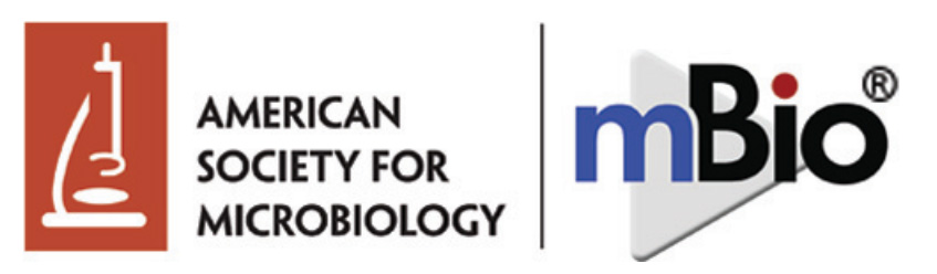Cover of mBio, featuring study using the protocol.