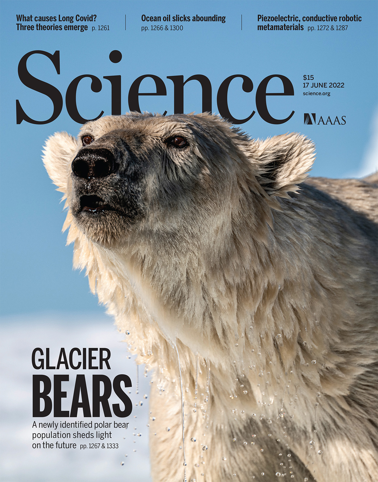 Cover of Science, featuring study using the protocol.