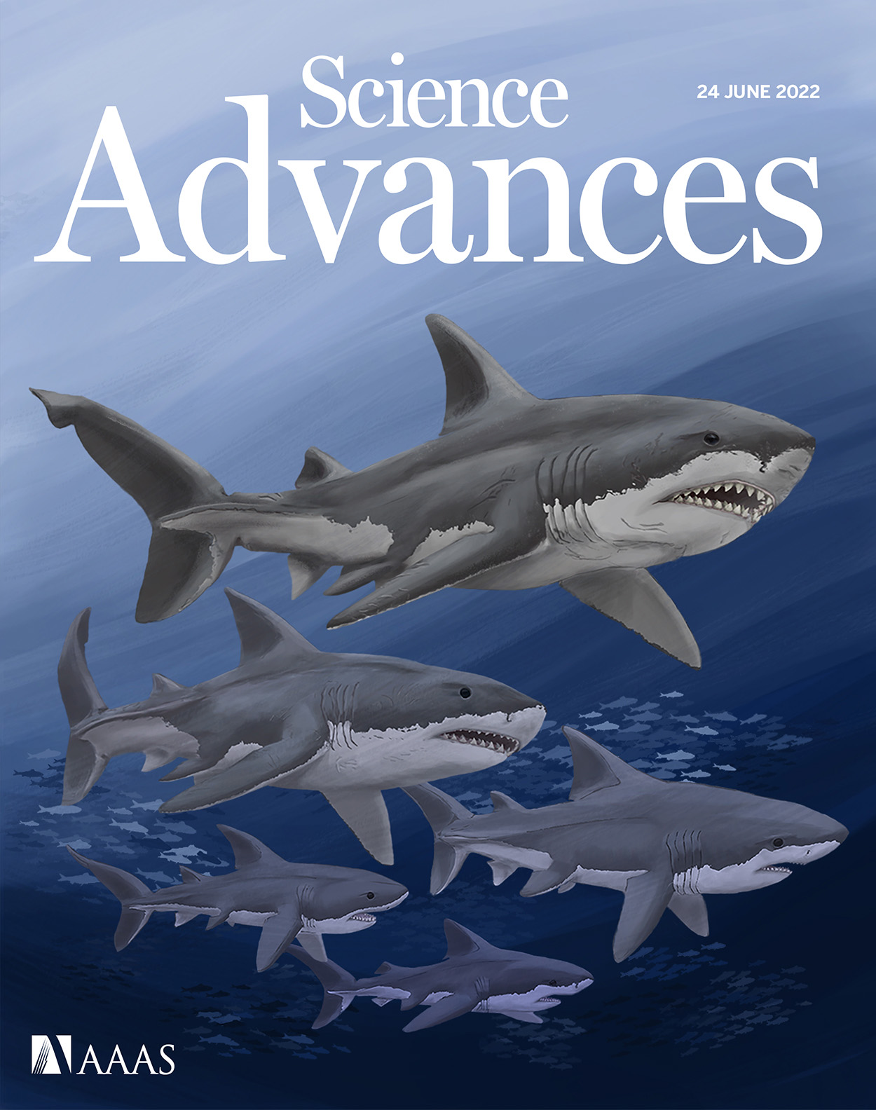 Cover of Science Advances, featuring study using the protocol.