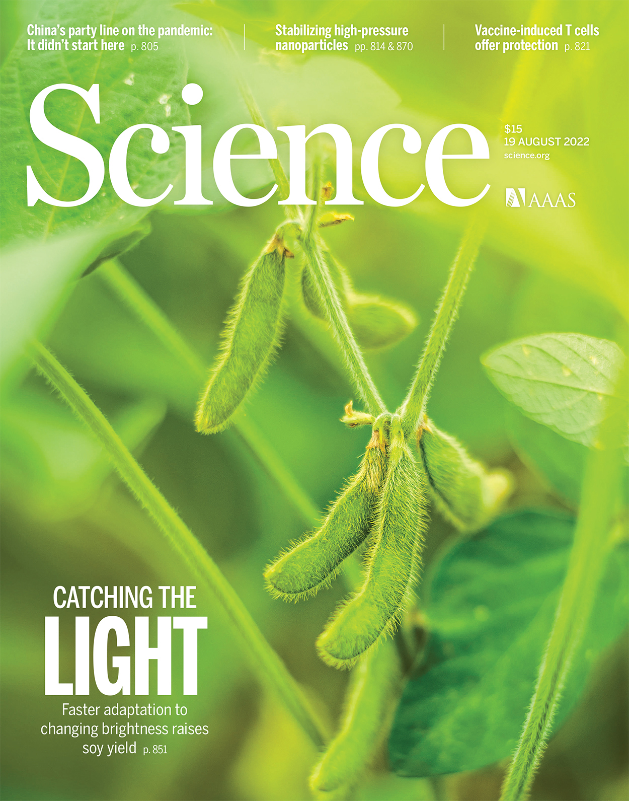 Cover of Science, featuring study using the protocol.