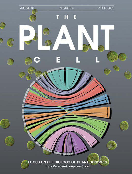 Cover of The Plant Cell, featuring study using the protocol.