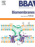 Cover of Biochimica et Biophysica Acta (BBA) - Biomembranes, featuring study using the protocol.