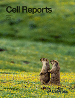 Cover of Cell Reports, featuring study using the protocol.