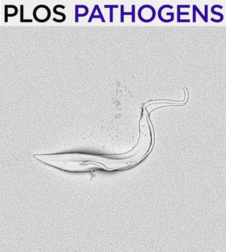 Cover of PLOS Pathogens, featuring study using the protocol.