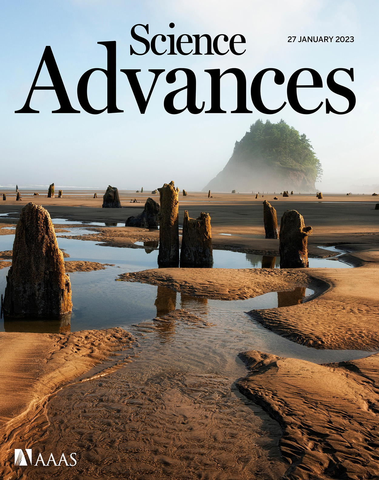 Cover of Science Advances, featuring study using the protocol.