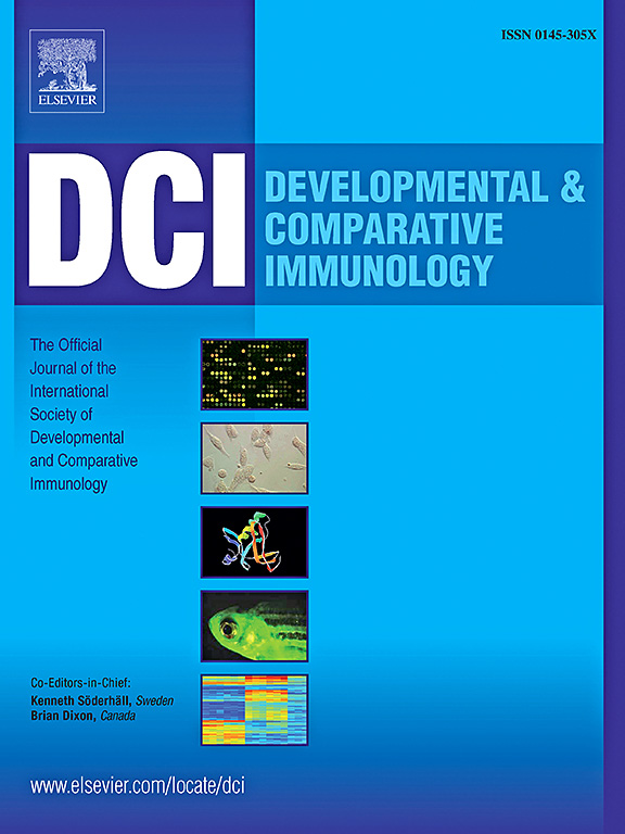 Cover of Developmental & Comparative Immunology, featuring study using the protocol.