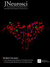 Cover of The Journal of Neuroscience, featuring study using the protocol.