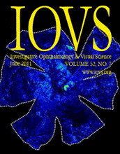 Cover of Investigative Ophthalmology & Visual Science, featuring study using the protocol.