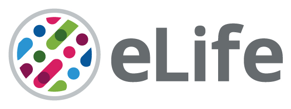 Cover of eLIFE, featuring study using the protocol.