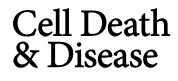 Cover of Cell Death & Disease, featuring study using the protocol.