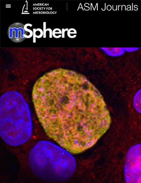 Cover of mSphere, featuring study using the protocol.