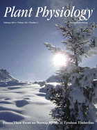 Cover of Plant Physiology, featuring study using the protocol.