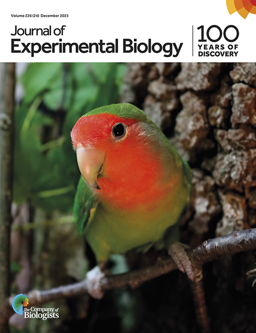 Cover of Journal Of Experimental Biology, featuring study using the protocol.
