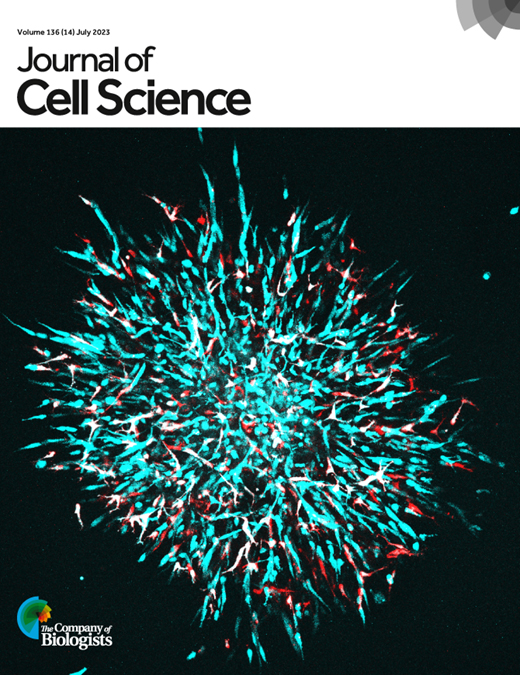 Cover of Journal of Cell Science, featuring study using the protocol.