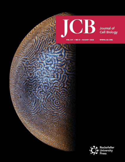 Cover of The Journal of Cell Biology, featuring study using the protocol.