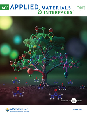 Cover of ACS Applied Materials & Interfaces, featuring study using the protocol.
