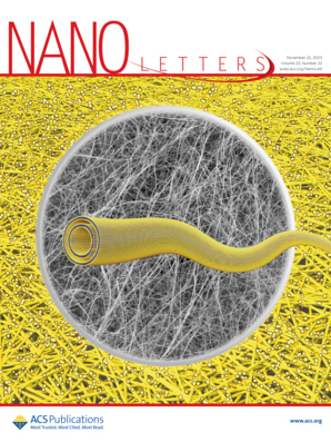 Cover of Nano Letters, featuring study using the protocol.