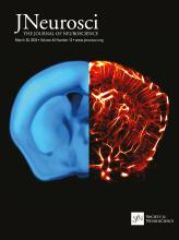 Cover of The Journal of Neuroscience, featuring study using the protocol.