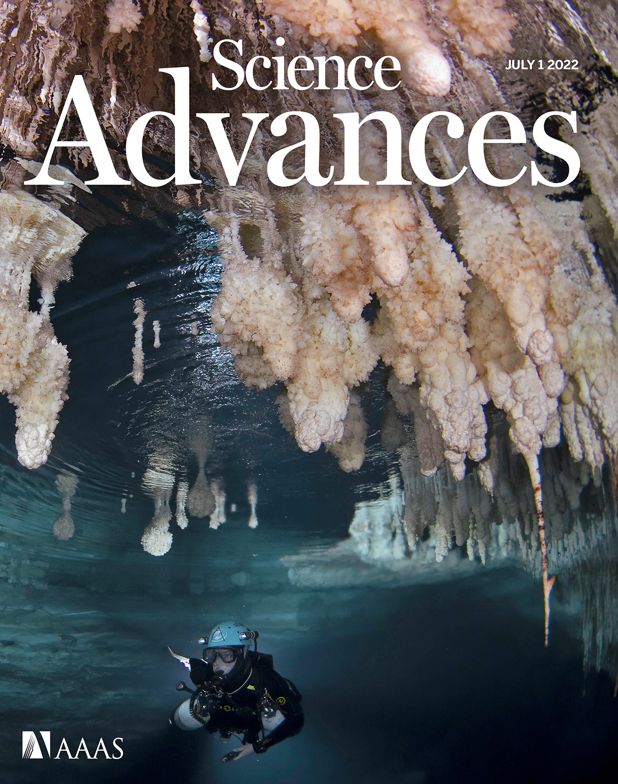 Cover of Science Advances, featuring study using the protocol.