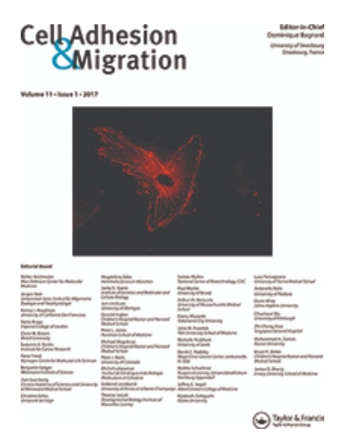 Cover of Cell Adhesion & Migration, featuring study using the protocol.