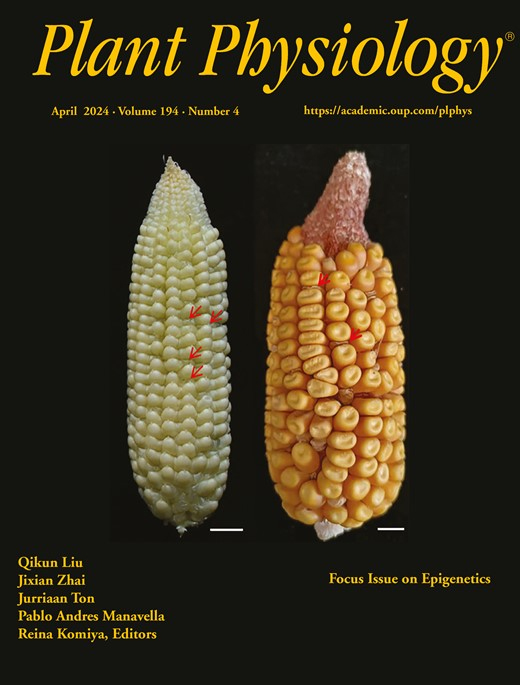 Cover of Plant Physiology, featuring study using the protocol.