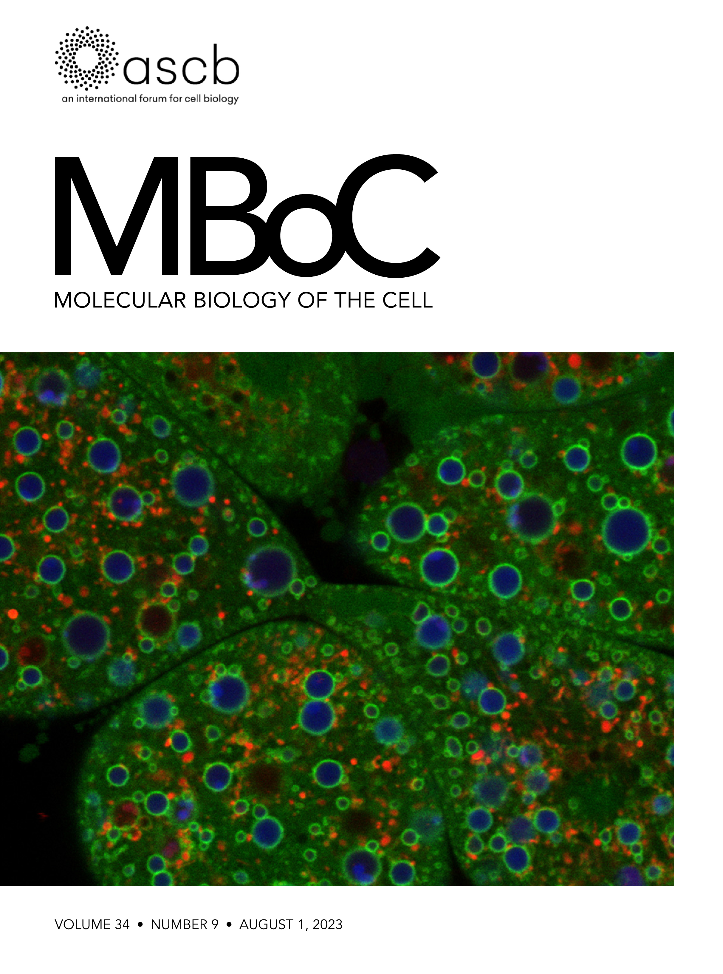 Cover of Molecular Biology of the Cell, featuring study using the protocol.