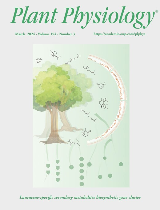 Cover of Plant Physiology, featuring study using the protocol.
