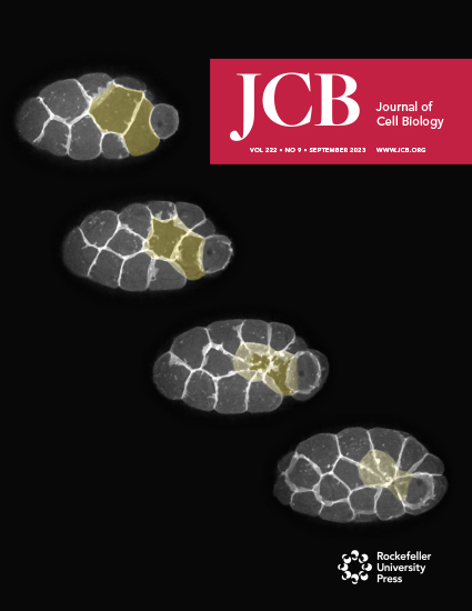 Cover of The Journal of Cell Biology, featuring study using the protocol.