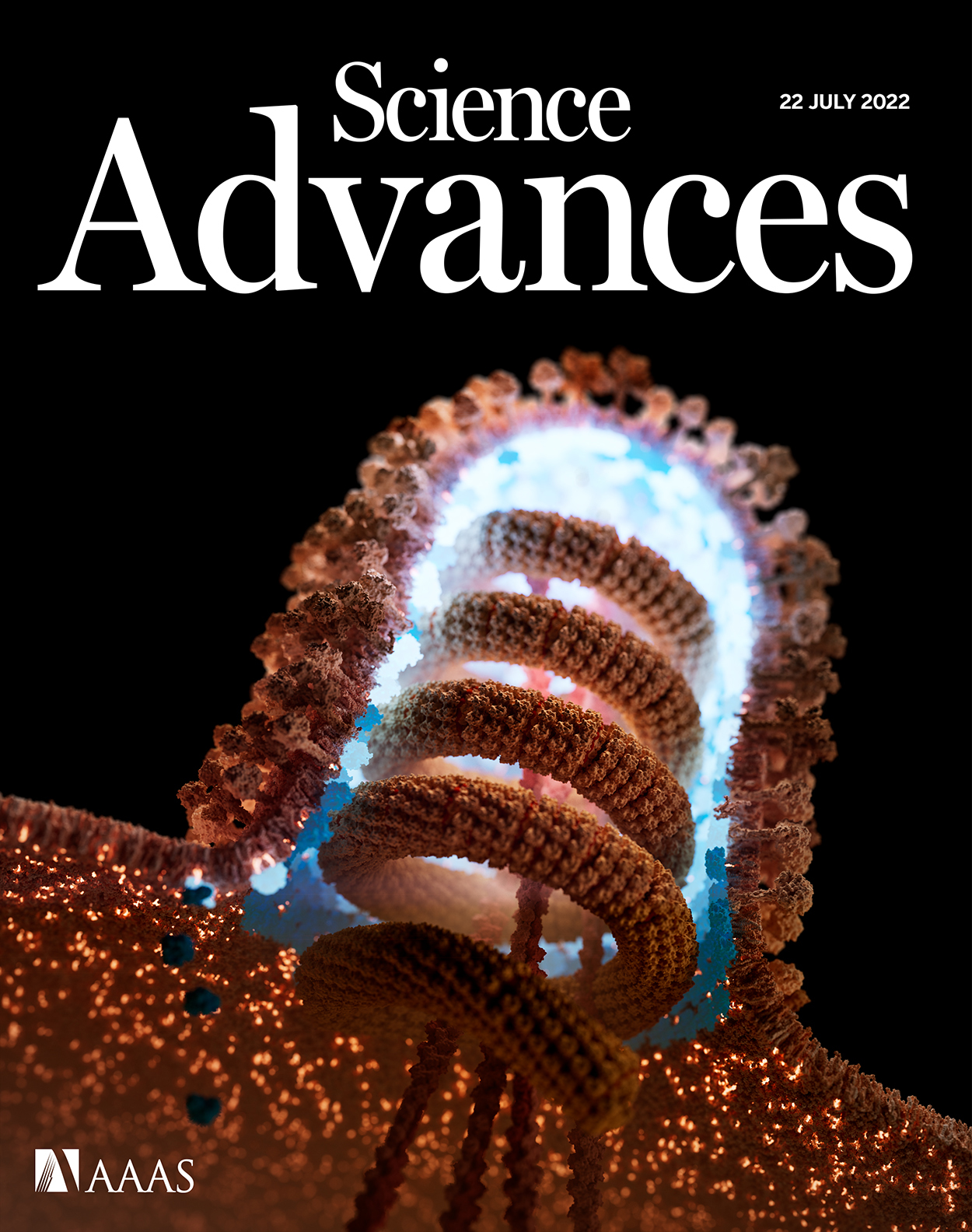 Cover of Science Advances, featuring study using the protocol.