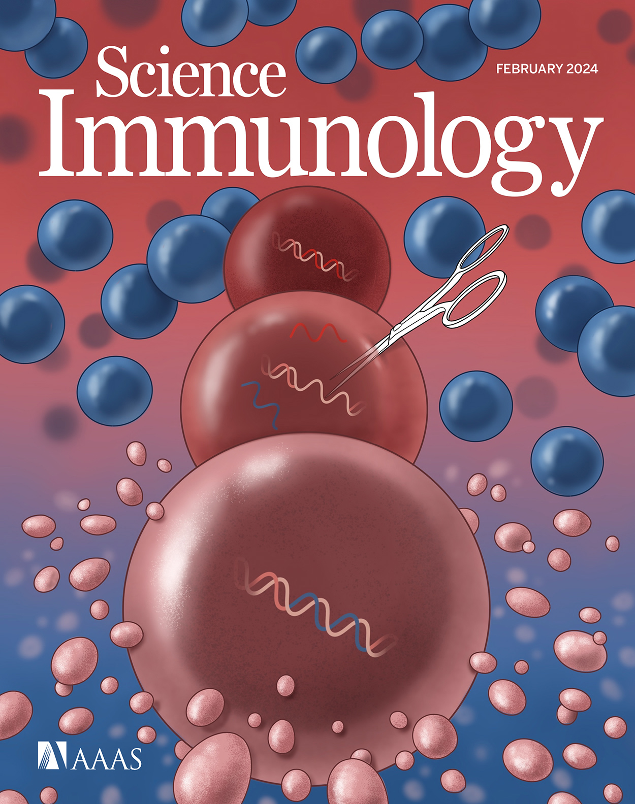 Cover of Science Immunology, featuring study using the protocol.