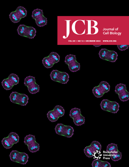 Cover of The Journal of Cell Biology, featuring study using the protocol.