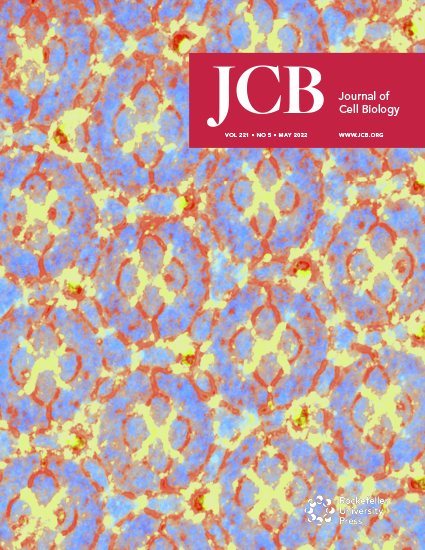 Cover of The Journal of Cell Biology, featuring study using the protocol.