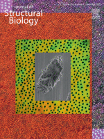Cover of Journal of Structural Biology, featuring study using the protocol.