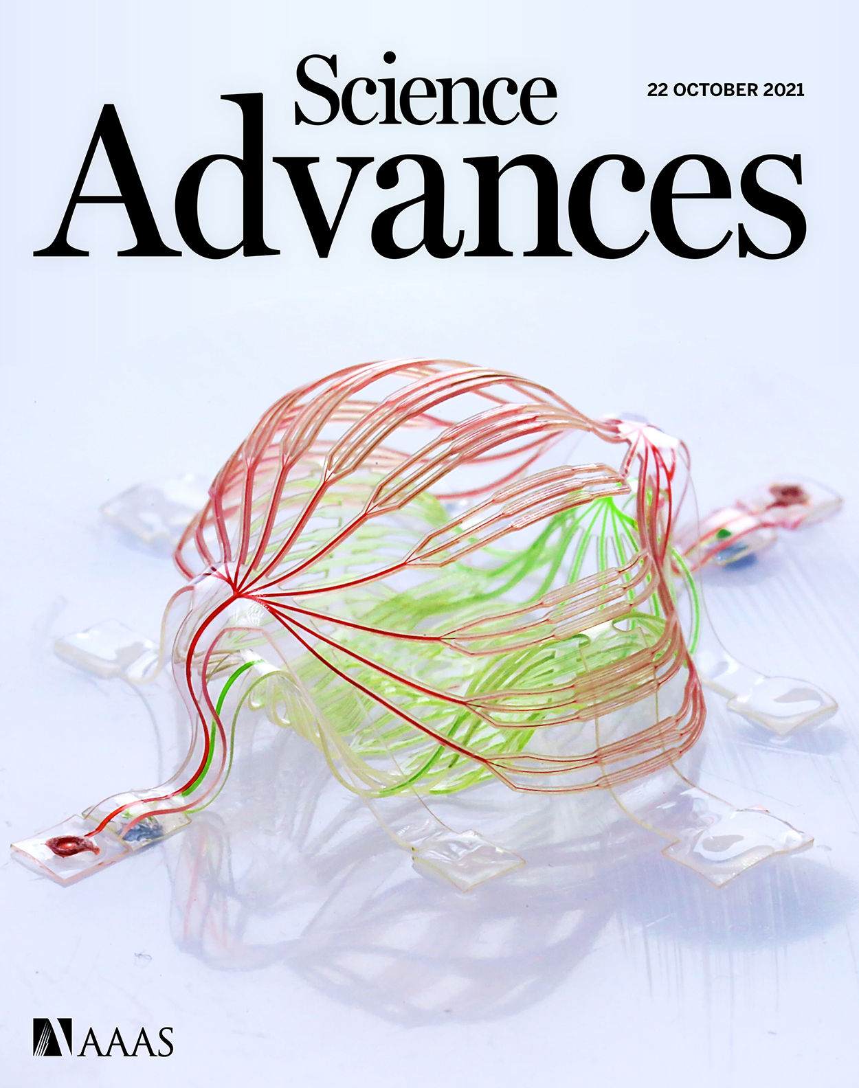 Cover of Science Advances, featuring study using the protocol.
