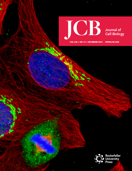 Cover of The Journal of Cell Biology, featuring study using the protocol.