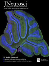 Cover of The Journal of Neuroscience, featuring study using the protocol.