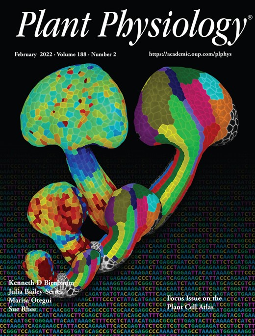 Cover of Plant Physiology, featuring study using the protocol.