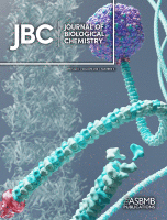 Cover of The Journal of Biological Chemistry, featuring study using the protocol.