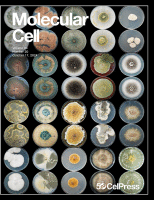 Cover of Molecular Cell, featuring study using the protocol.