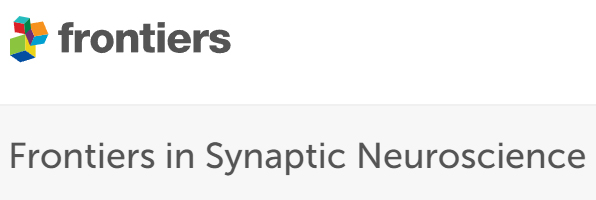 Cover of Frontiers in Synaptic Neuroscience, featuring study using the protocol.