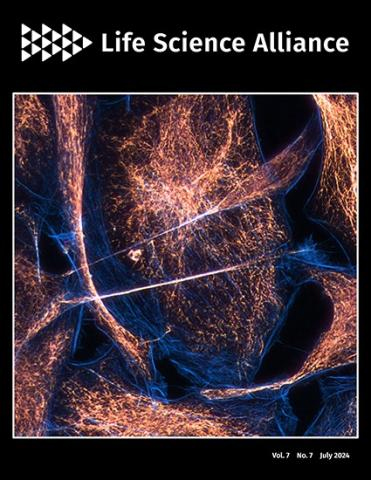 Cover of Life Science Alliance, featuring study using the protocol.