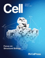 Cover of Cell, featuring study using the protocol.