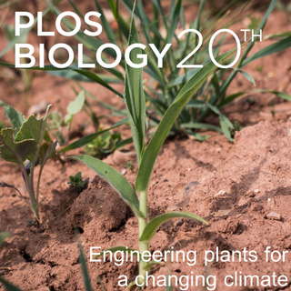 Cover of PLOS Biology, featuring study using the protocol.