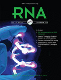 Cover of RNA, featuring study using the protocol.