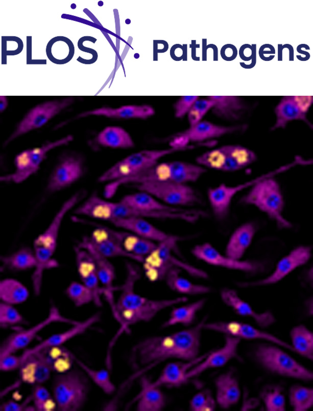 Cover of PLOS Pathogens, featuring study using the protocol.