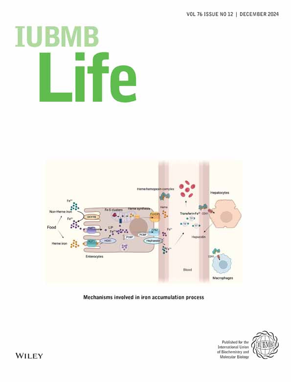 Cover of IUBMB Life, featuring study using the protocol.