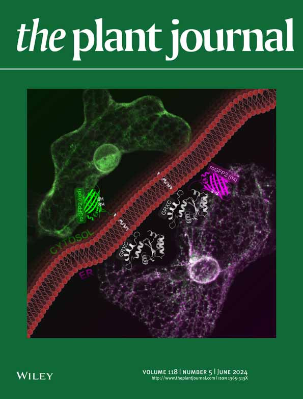 Near-Infrared Autofluorescence Imaging of Nuclei in Living Plant Roots