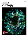 Rapid Plasmid-Free Generation of Recombinant Positive-Strand RNA Viruses That Use IRES-Mediated Translation Using an Expansion of the Circular Polymerase Extension Reaction (CPER)